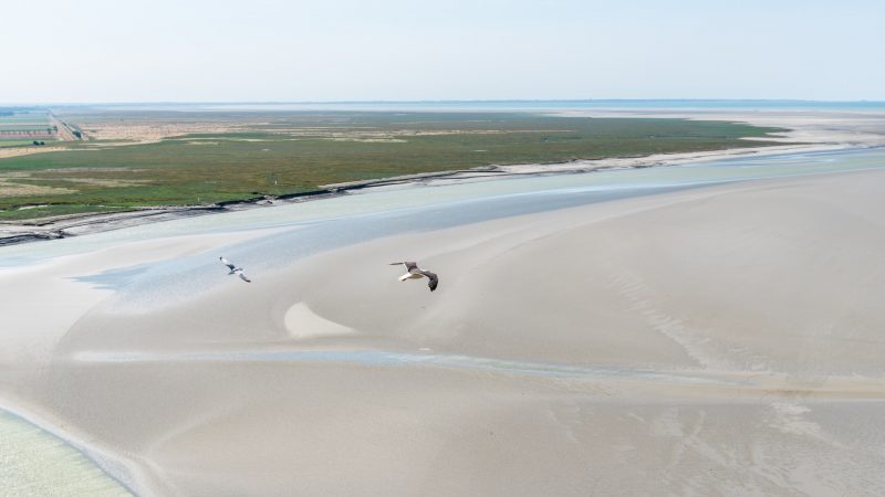 Profiter de cet été pour aller en Normandie.